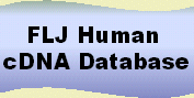 FLJ Human cDNA Database